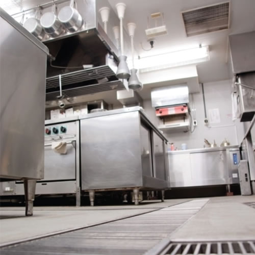 Pest Control Solutions for Restaurants | Viking Pest Control